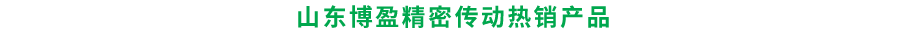 博盈機械精密傳動熱銷產品
